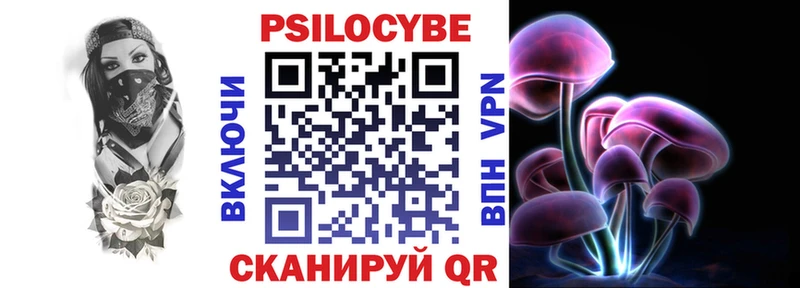 Купить где  Крымск  Галлюциногенные грибы Psilocybe 